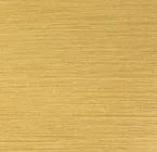 Pure Gloss Gold swatch