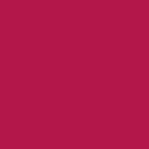 Raspberry Translucent Colour Swatch