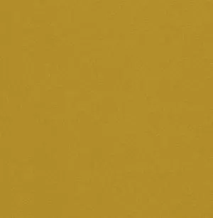 Gloss Perfect Black
